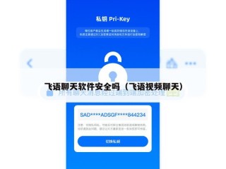 飞语聊天软件安全吗（飞语视频聊天）