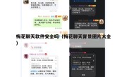 梅花聊天软件安全吗（梅花聊天背景图片大全）