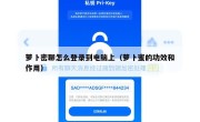 萝卜密聊怎么登录到电脑上（萝卜蜜的功效和作用）