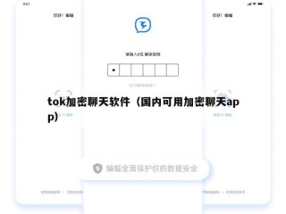 tok加密聊天软件（国内可用加密聊天app）