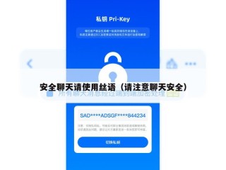 安全聊天请使用丝语（请注意聊天安全）