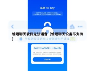 蝙蝠聊天软件无法语音（蝙蝠聊天设备不支持）