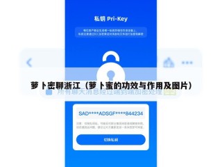 萝卜密聊浙江（萝卜蜜的功效与作用及图片）