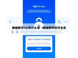 蝙蝠聊天vip有什么用（蝙蝠聊天软件会员）