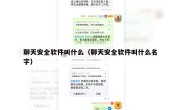 聊天安全软件叫什么（聊天安全软件叫什么名字）