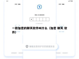 一款加密的聊天软件叫什么（加密 聊天 软件）