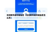 泡泡聊天端对端加密（泡泡聊天端对端加密怎么弄）