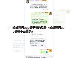 蝙蝠聊天app是干嘛的软件（蝙蝠聊天app是哪个公司的）