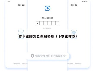 萝卜密聊怎么查服务器（卜罗密咋吃）