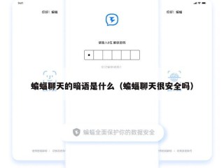 蝙蝠聊天的暗语是什么（蝙蝠聊天很安全吗）