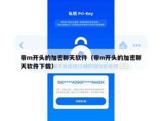 带m开头的加密聊天软件（带m开头的加密聊天软件下载）