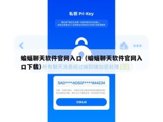 蝙蝠聊天软件官网入口（蝙蝠聊天软件官网入口下载）