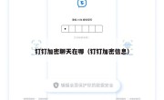 钉钉加密聊天在哪（钉钉加密信息）