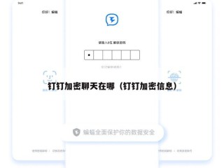 钉钉加密聊天在哪（钉钉加密信息）