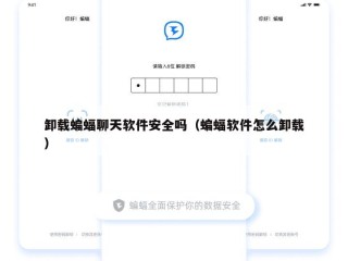 卸载蝙蝠聊天软件安全吗（蝙蝠软件怎么卸载）