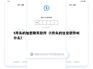 t开头的加密聊天软件（t开头的社交软件叫什么）