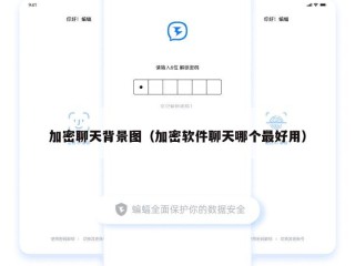 加密聊天背景图（加密软件聊天哪个最好用）