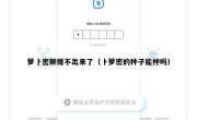 萝卜密聊提不出来了（卜萝密的种子能种吗）