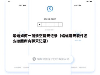 蝙蝠如何一键清空聊天记录（蝙蝠聊天软件怎么撤回所有聊天记录）