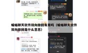 蝙蝠聊天软件双向撤回有用吗（蝙蝠聊天软件双向撤回是什么意思）