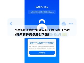 mata聊天软件安全码忘了怎么办（mata聊天软件安卓怎么下载）