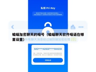 蝙蝠加密聊天的暗号（蝙蝠聊天软件暗语在哪里设置）