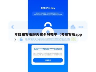 考拉和客服聊天安全吗知乎（考拉客服app）
