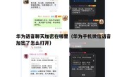华为语音聊天加密在哪里（华为手机微信语音加密了怎么打开）