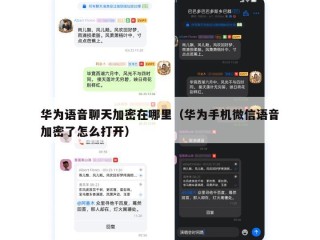 华为语音聊天加密在哪里（华为手机微信语音加密了怎么打开）