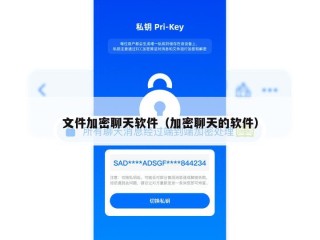文件加密聊天软件（加密聊天的软件）
