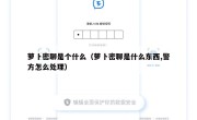 萝卜密聊是个什么（萝卜密聊是什么东西,警方怎么处理）