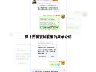 萝卜密聊寰球联盟的简单介绍