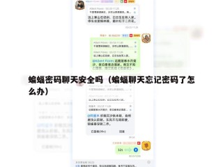 蝙蝠密码聊天安全吗（蝙蝠聊天忘记密码了怎么办）