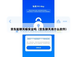京东能聊天嘛安全吗（京东聊天用什么软件）