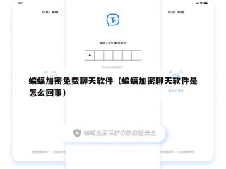 蝙蝠加密免费聊天软件（蝙蝠加密聊天软件是怎么回事）