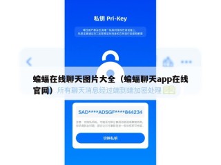 蝙蝠在线聊天图片大全（蝙蝠聊天app在线官网）